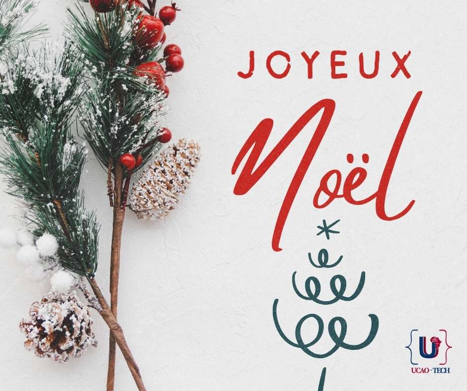 Joyeuses fêtes de Noël à toutes et à tous !