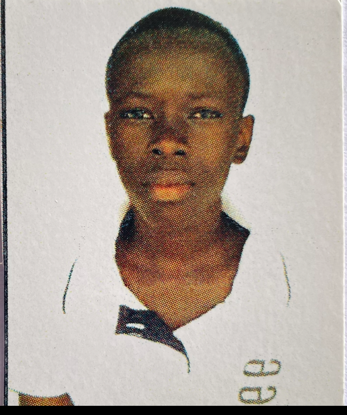 Aurel Kassa